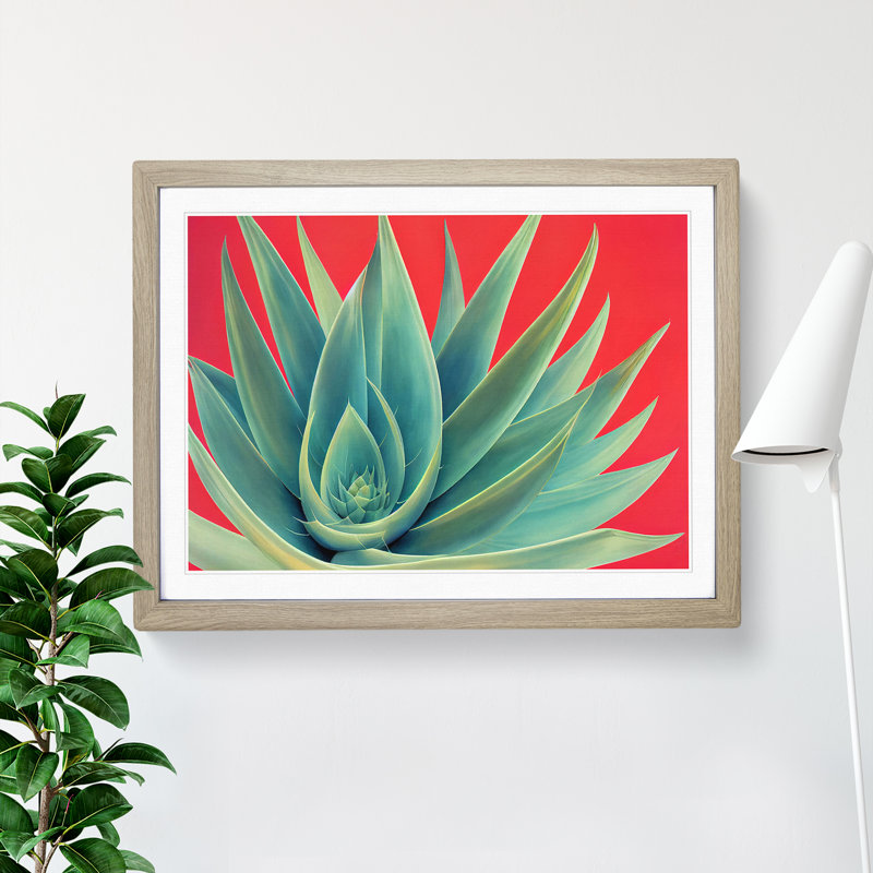 Spellbinding Aloe Vera Plant - Framed Print, 46cm H x 64cm W, Oak Frame