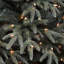 Sapin bleu 7,5 pi avec lumières DEL bicolores Ponderosa