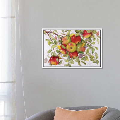 Apples by Marcia Matcham - Wrapped Canvas Painting