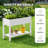 Raised Garden Bed - Outdoor Elevated Planter With Weatherproof Resin, Shelf & 4 Swivel Wheels-1229401061