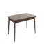 Table de salle à manger Contemporary
