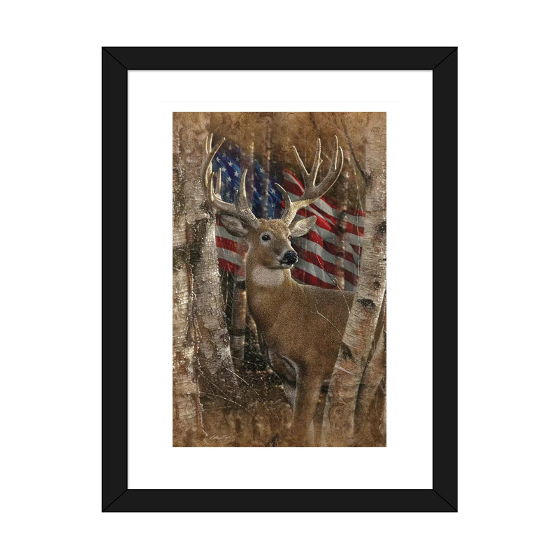 Whitetail Buck America par Collin-gris-impression d’art graphique, H 24 po x l 16 po x P 1 po, Blanc, Papier encadré noir