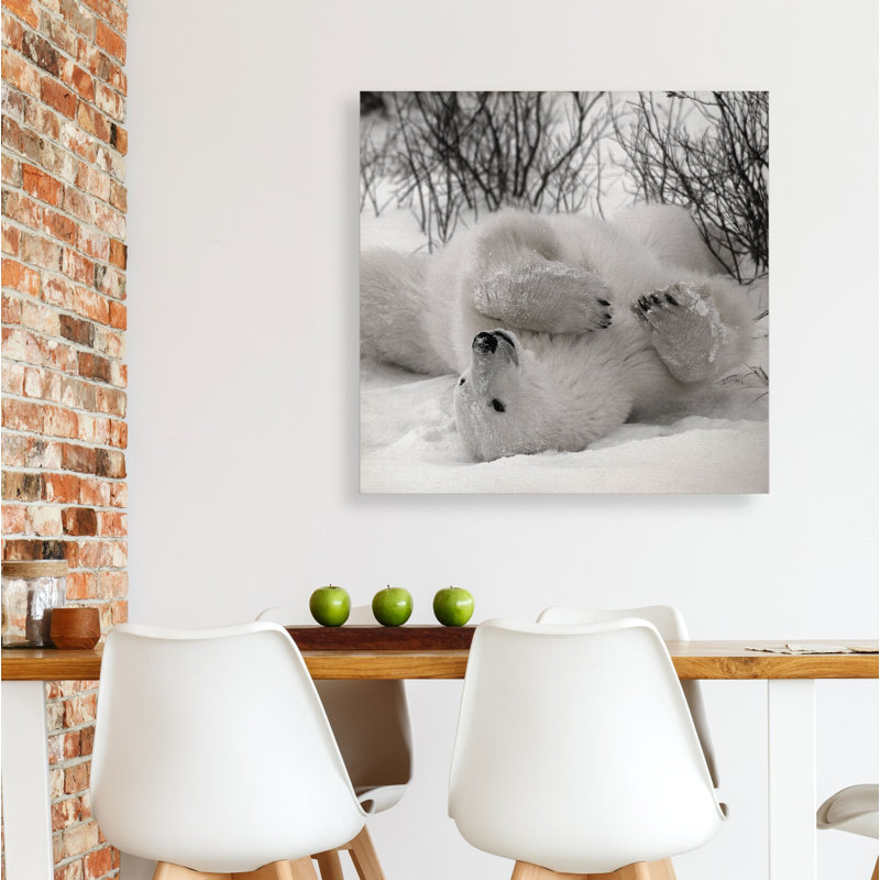 «Hudson Bay Bear», photographie, Toile tendue, H 10 po x l 10 po x P 1,5 po