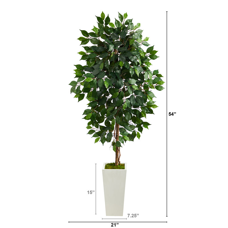 Faux Ficus Tree in Clay Planter, 54" H x 21" W x 19" D, White