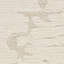Tapis ivoire CK009-63230068
