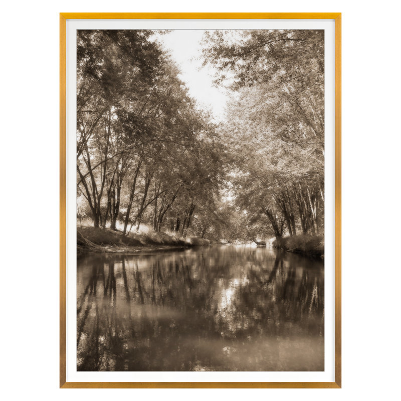 Mecan River 3 Print by Schrack, Thea, 32" H x 24" W
