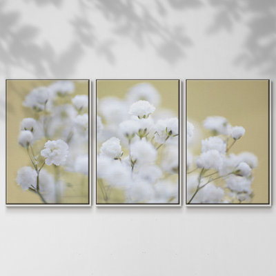 " Baby's Breath Study III " 3 - Pieces
