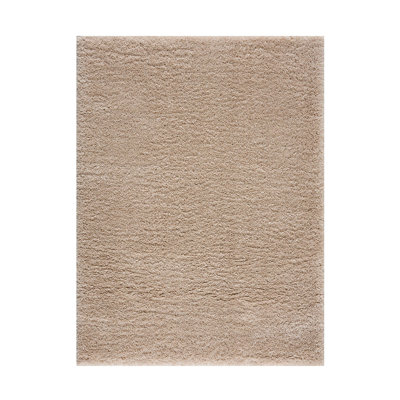 Super Soft Polyester Shag Area Algodones