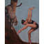 Wild Grace