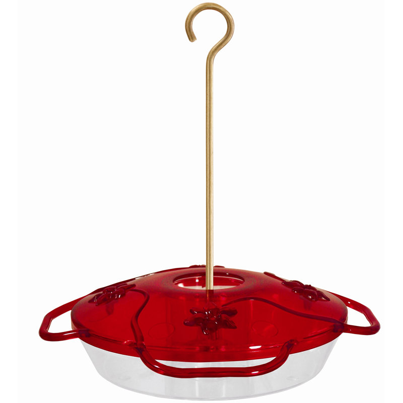 Mangeoire 4 hummingbird little affichette