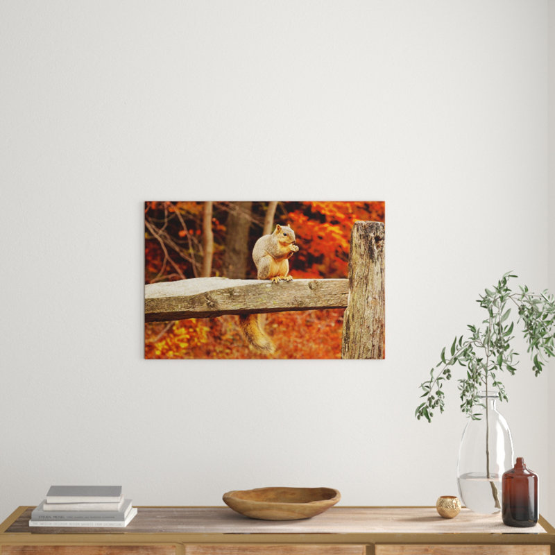 Squirrel Autumn Forest Photographic - Wrapped Canvas, 50cm H x 76cm W