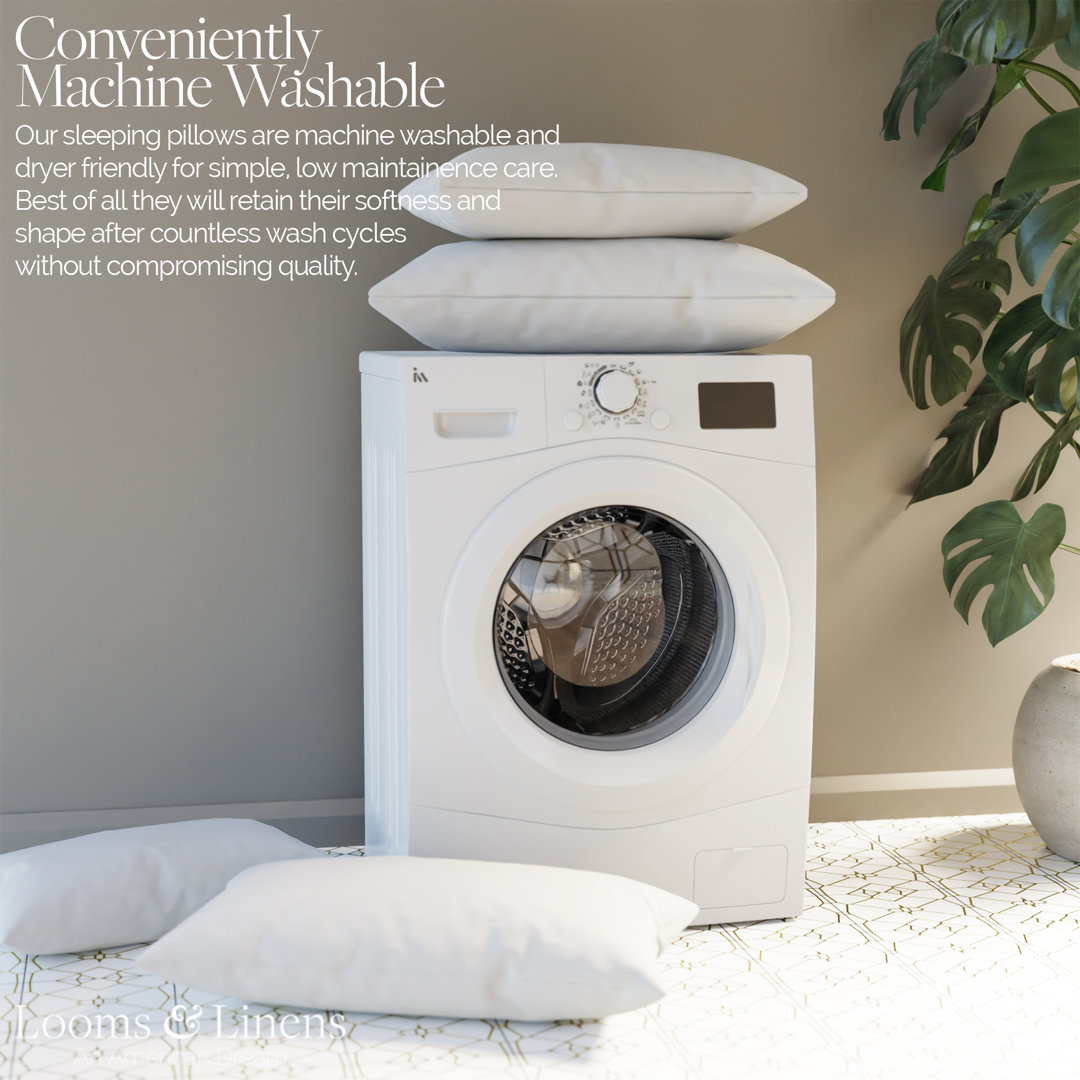 Square Euro Throw Pillow Insert for Decorative Pillow and Sham Pillows Looms & Linens (Set of 2) Looms & Linens 