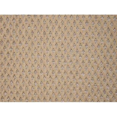 Sarah Fabric