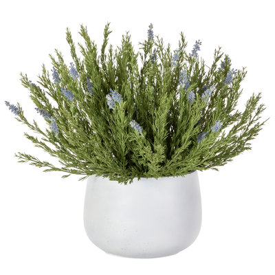24.5"Hx28"Wx28"L Wild Lavender In Cement Pot