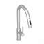 Robinet de cuisine rétractable 18,83 po-121209973