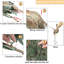 Alyea Animals Figurines & Sculptures