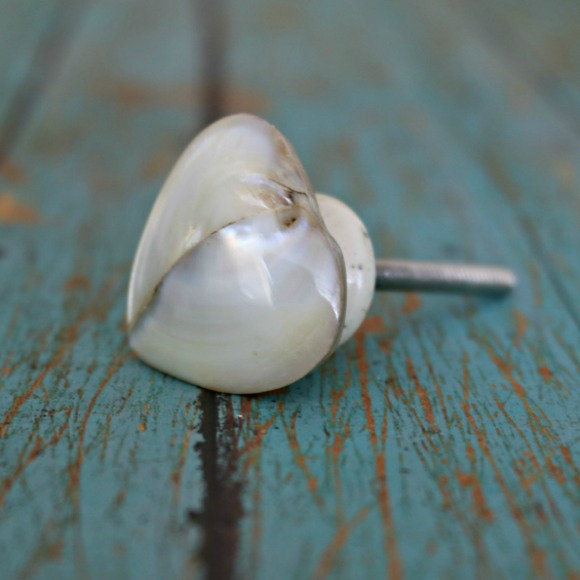 Novelty Knob