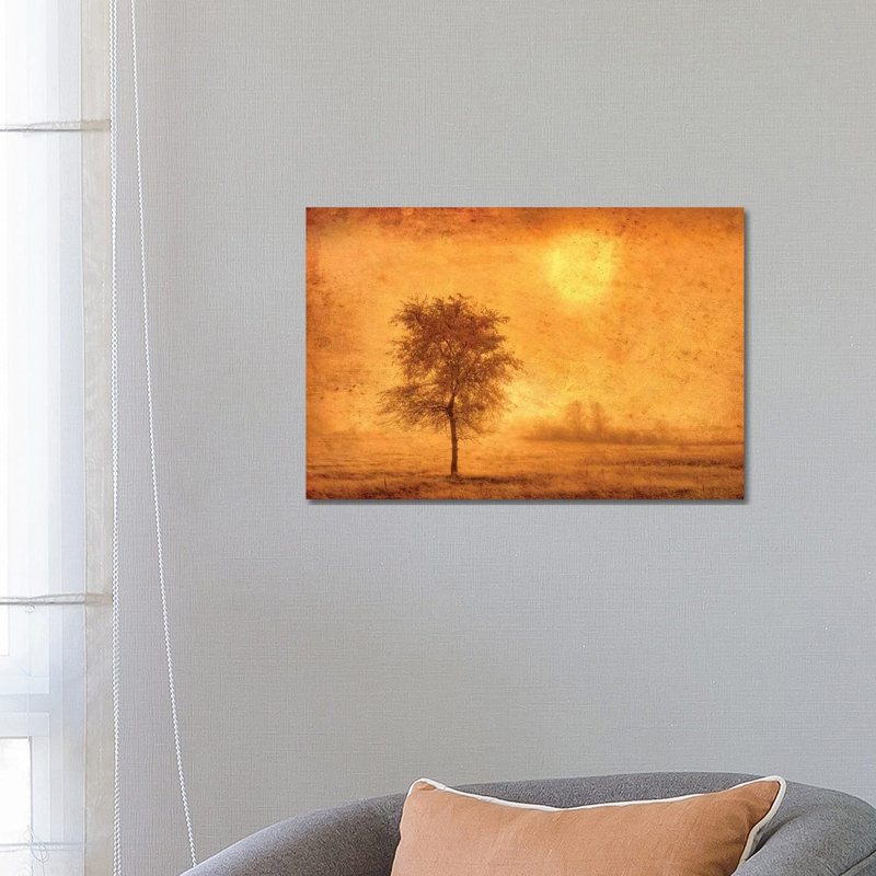 Canada. Tree In Fog At Sunrise. by Jaynes Gallery - Wrapped Canvas Gallery-Wrapped Canvas Giclée, 66.04 cm H x 45.72 cm W