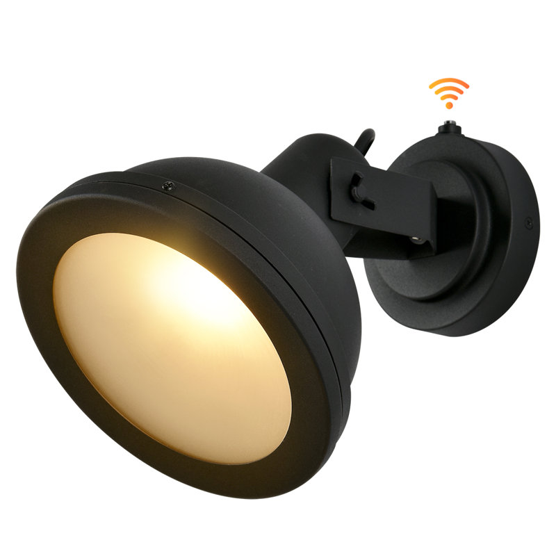 Samav 20cm H Outdoor Barn Light with Dusk to Dawn, Matte Black