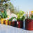 Flowerpot-2079163732