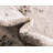 Contemporary Patrocinia Area Rug Beige-Multi Color-61945346