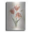 Winston Porter «Antiquarian Blooms 3» par Katie pertiet, art mural en métal-647732138