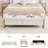 67'' W Modern Upholstered Velvet Storage Bench for Bedroom End of Bed with Gold Leg-724314882