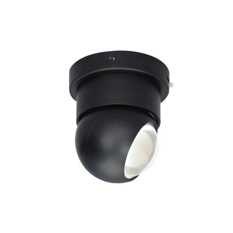 Jareth Glass LED Flush Mount, Black