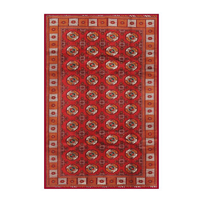 Southwestern Indoor Rug