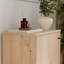 Tekita Rectangle Accent Cabinet-1315813080-1315813085