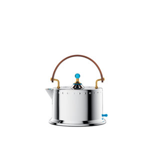 Bouilloire électrique Bodum Ottoni, 34 oz Acier inoxydable