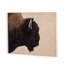 American Bison Print by Getty Images-581159476