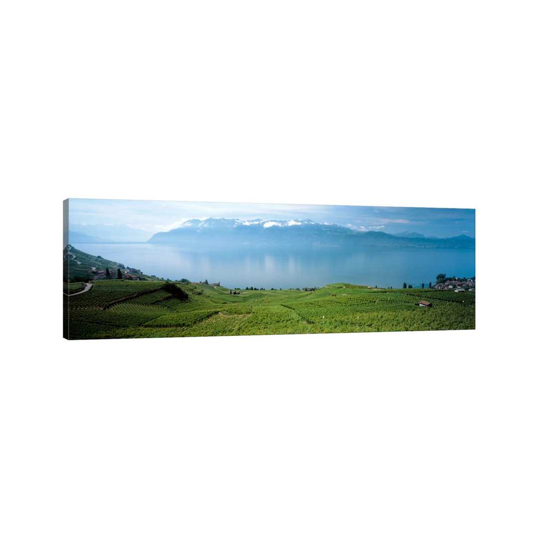Vineyard Terraces & Lake Geneva, Lavaux, Vaud, Switzerland by Panoramic Images - Wrapped Canvas Panoramic Print