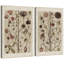 "Abstract Botanical", "Wildflower", "Nature", plante naturelle encadrée, reproduction d'art sur toile, 2 pièces-124478705-91068937