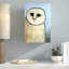 « grange hibou », reproduction de toile tendue sur toile enroulée-22828994-22829000