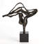 Tangled Sculpture