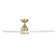 Skylark 3 - Blade Indoor/Outdoor Smart Ceiling Fan with Adjustable CCT 2700K-3000K-4000K-5000K LED Light Kit and Remote Control Included, Works With Alexa and iOS or Android App