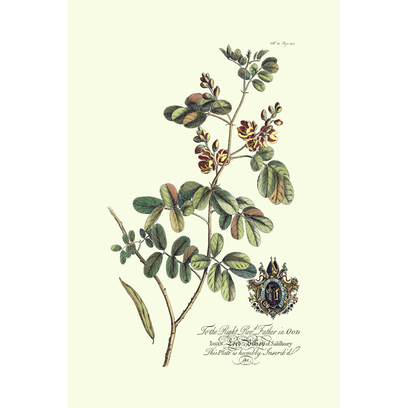Royal Botanical IV, H 12 po x l 8 po