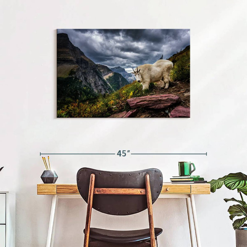 Brampt Rocky Mountain Goat, 24" H x 36" W