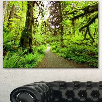 "Sentier dans la forêt tropicale", reproduction de photo sur toile tendue