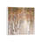 Sunlit Birch II by Carol Robinson - Painting on Canvas-1209463240-1209463247