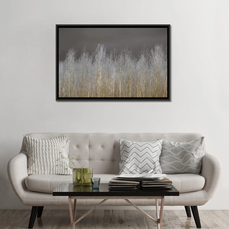 " Silver Forest " Graphic Art, 32" H x 48" W x 1.5" D, Black Framed Canvas, No Mat