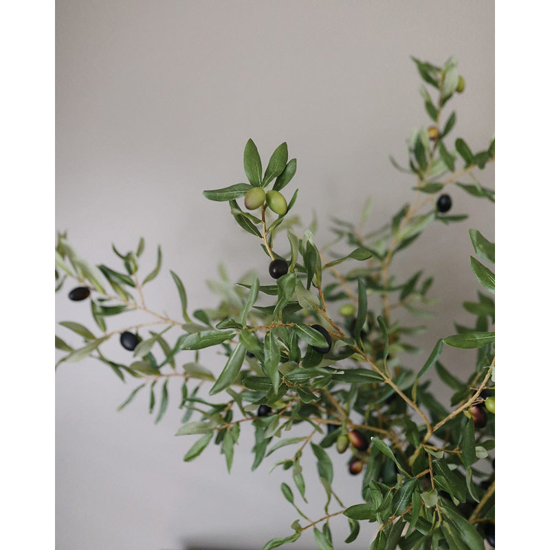Large Olive Branch 46"
