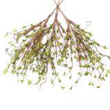 Wood Twig Arrangement
