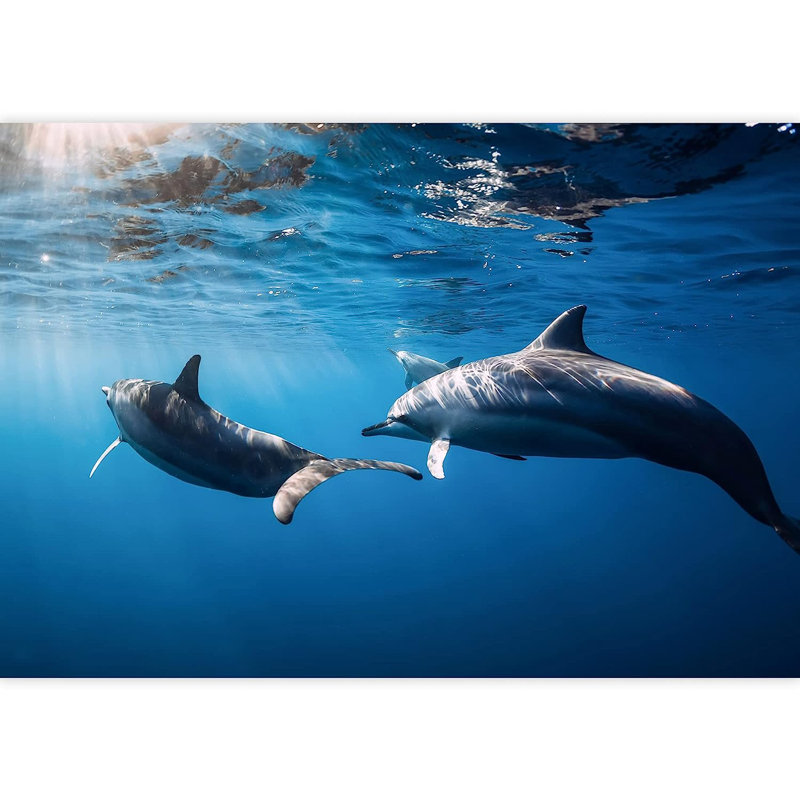 Animal Peel & Stick Vinyl, 100" L x 144" W