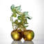 LIULI Crystal Art, Goldfish and Plum Sculpture | The Dance of All Things