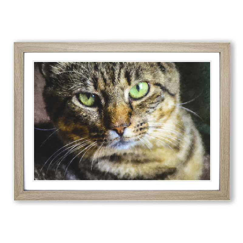 Portrait of a Cat Vol.6 - Framed Print, 48cm H x 65cm W x 2cm D, Oak Framed