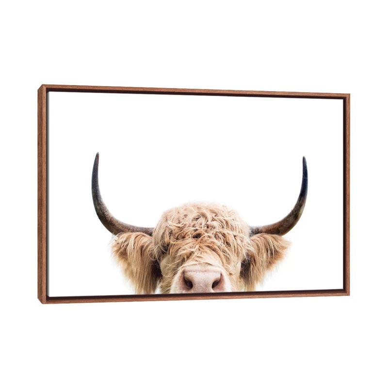 «Peeking Cow» par Sissi & Seb - reproduction de photo, H 18 po x l 26 po x P 1,5 po, Toile avec cadre en bois classique