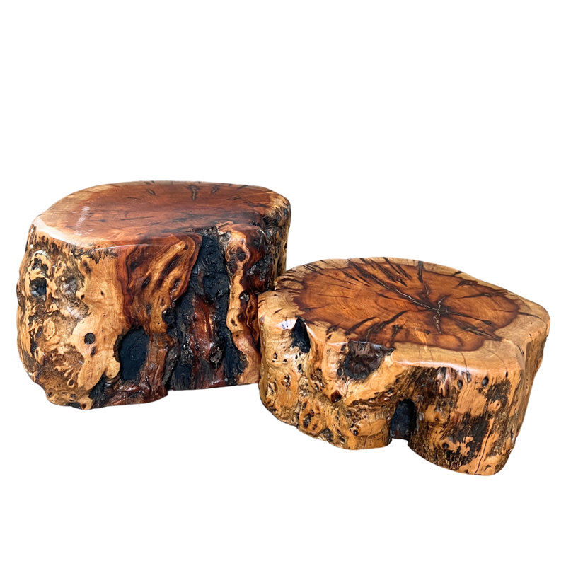 Natural Tree Trunk Stump Stool With Live Edge Solid Wood Plant Stand, Stool, Garden Bench, Side Table, End Table (d11in X H6in)