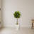 Fiddle Leaf Tree in White Tower Planter